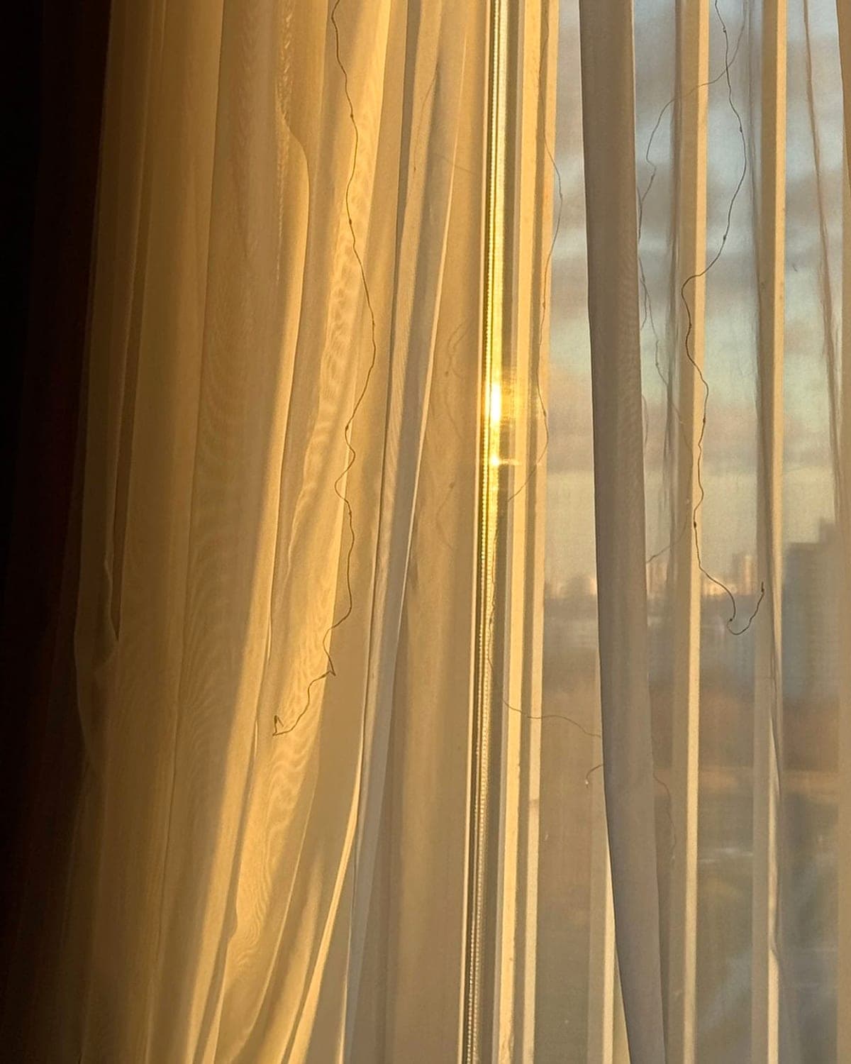Тюль «Золотой час» — фото 3